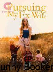 Pursuing My Ex-Wife Isn’t Easy Online Free