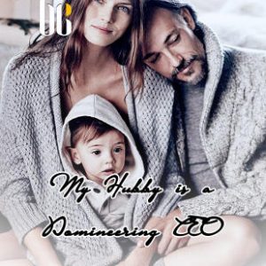 My Hubby is a Domineering CEO
