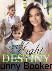 Night of Destiny Novel Online Free