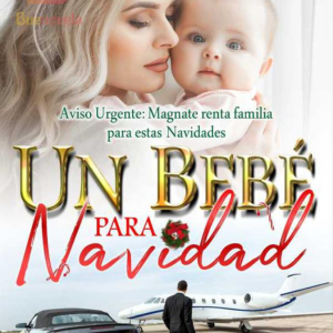 UN BEBÉ PARA NAVIDAD Novela