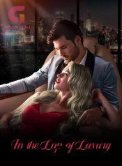 In the Lap of Luxury Novel