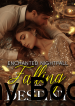 Enchanted Nightfall: Falling for Destiny Book