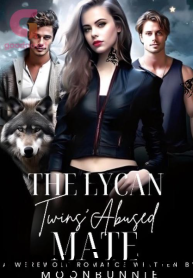 The Lycan Twins Abused Mate Book