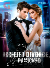 She Accepted Divorce, He Panicked Book