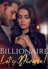 Billionaire, Let’s Divorce! Book