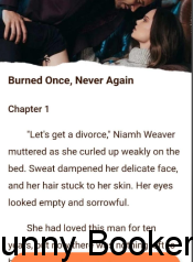Burned Once, Never Again Book